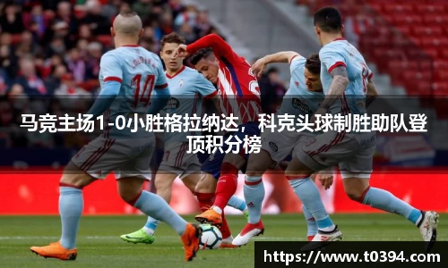 db视讯官网