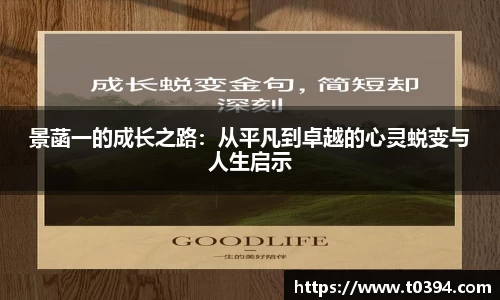 db视讯