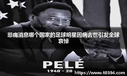 db视讯平台