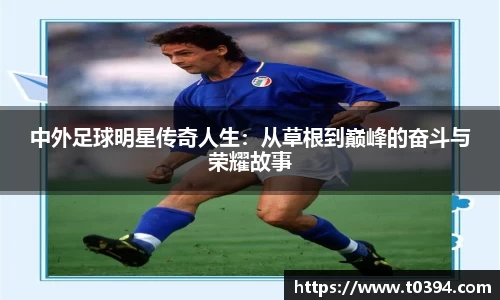 db视讯官网