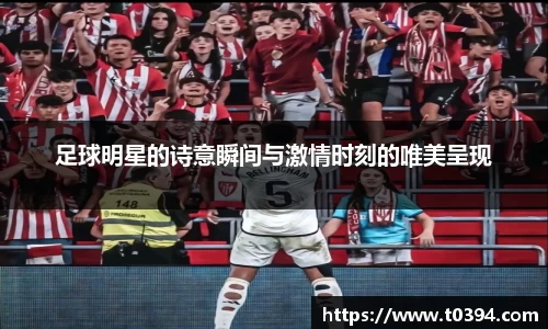 db视讯官网