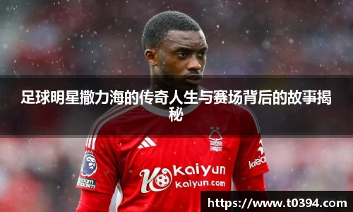 db视讯