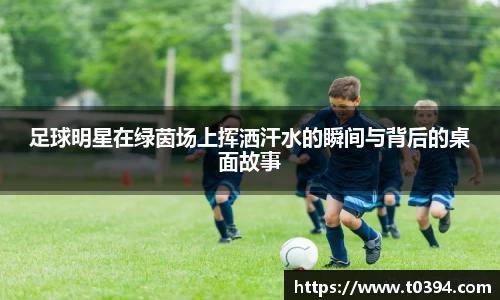db视讯官网