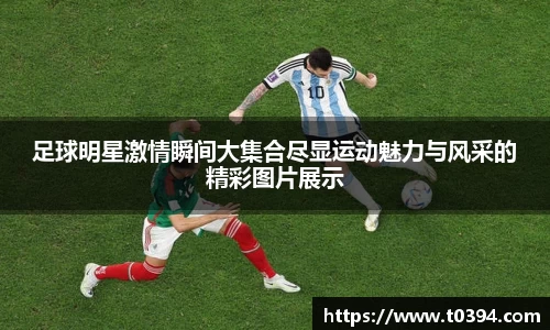 db视讯官网